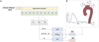 On the Role and Effects of Uncertainties in Cardiovascular in silico Analyses